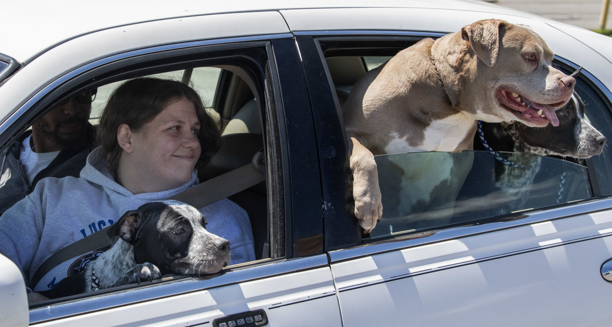 dp_Pet Food_05092002